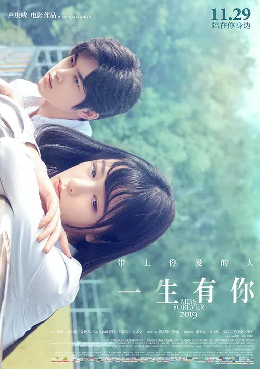 【爱情片】一生有你2019